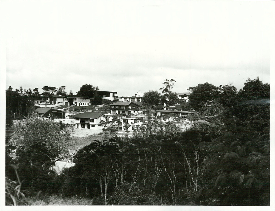 Mid-1970s housing subdivision at Chatswood on Auckland's North Shore, the era when Super Six and Decramastic roofs were common.